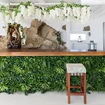 Zinas Vila Fanari (Mykonos)
