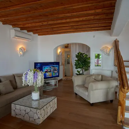 Zinas וילה Fanari (Mykonos)