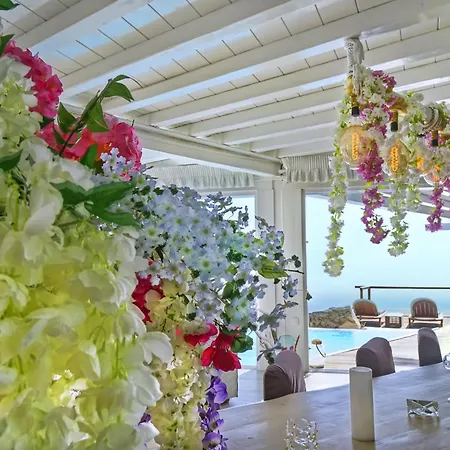 Zinas * Fanari (Mykonos)