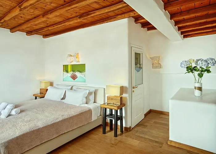 فيلة Zinas Fanari (Mykonos)